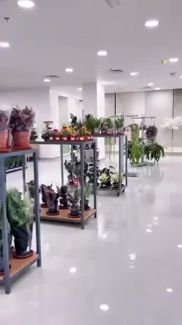 Product Photography Reel