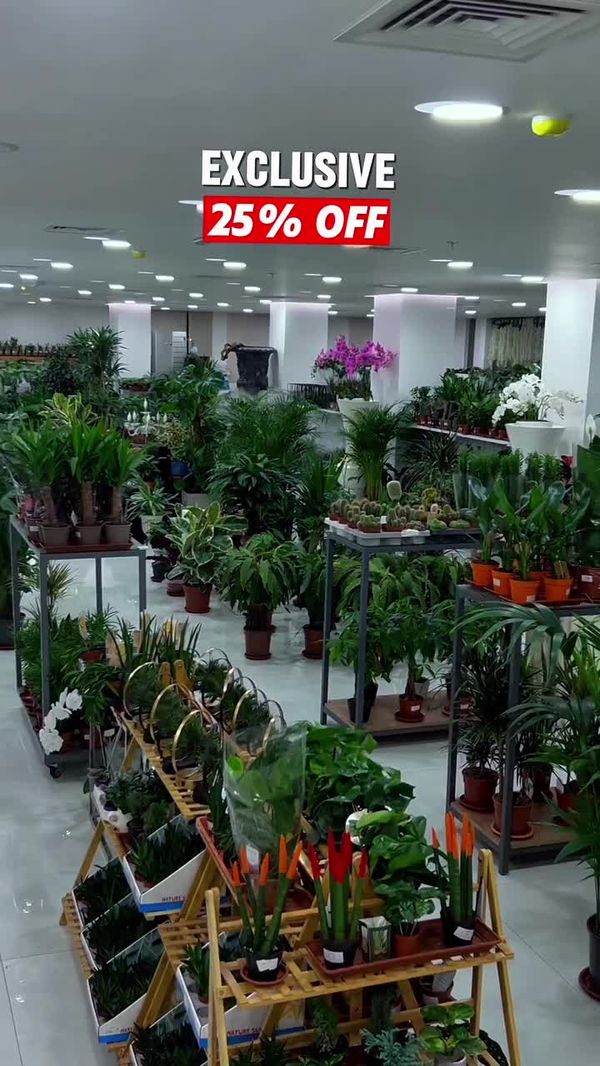 Brand Video Production